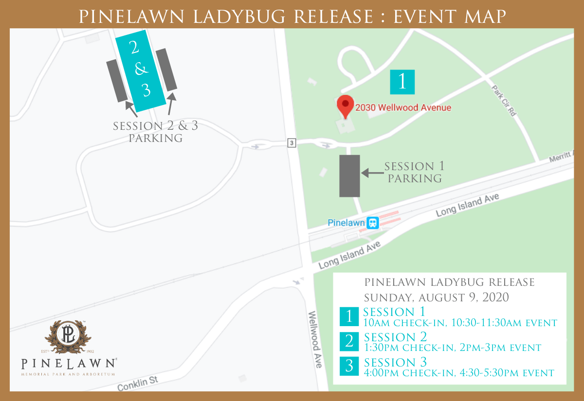 Ladybug Release Event On Sunday August 9th, 2020